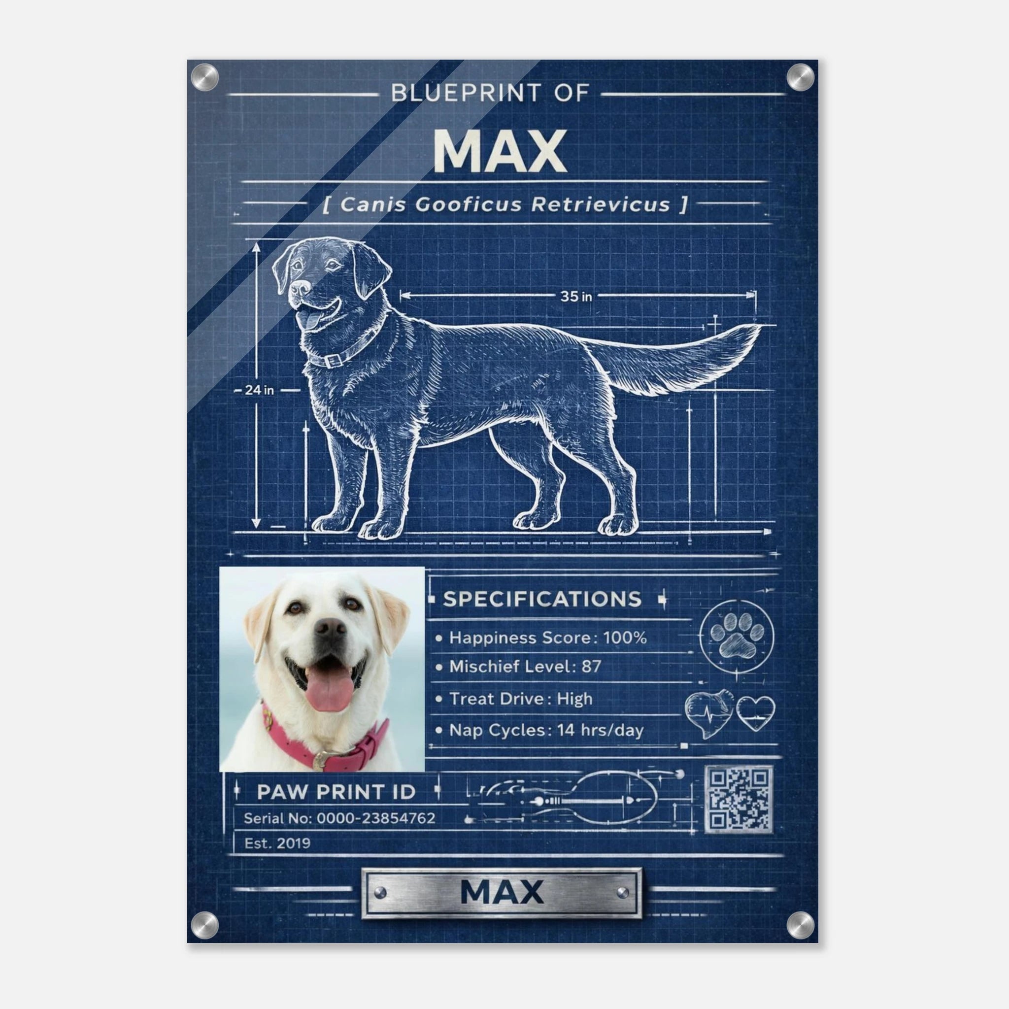 20b071d2-ffe2-4247-a6f0-32456382faa2