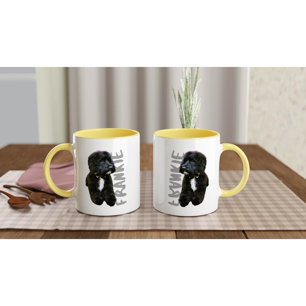 42416eb6-6879-469f-bd10-fc03525345f0