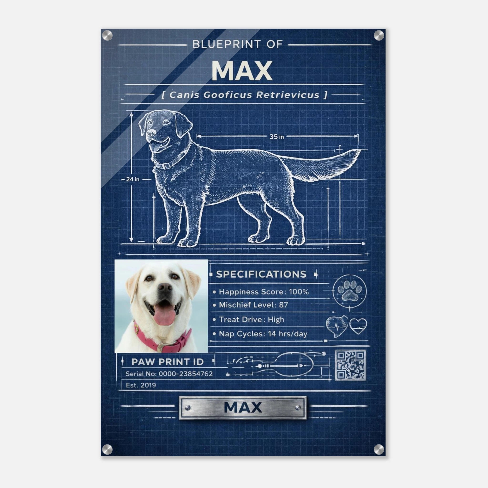 918dd887-9d0b-4e70-b046-fb7c10f63ce9