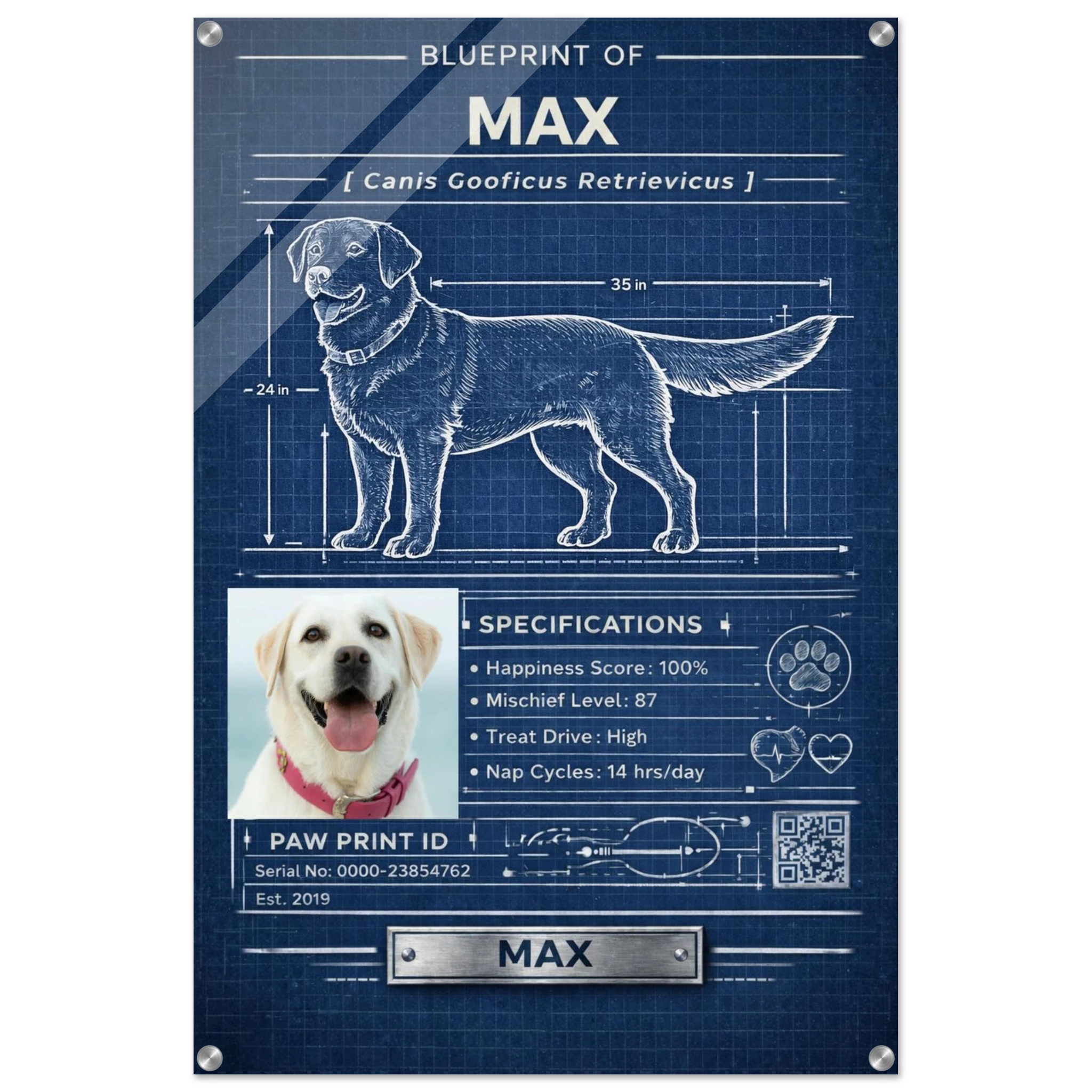 edc77a6b-276d-45e9-a844-8def74dbf9de