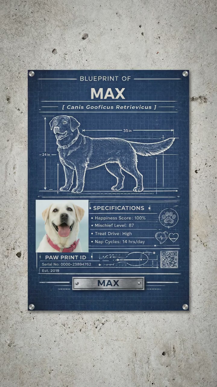 Custom Pet Blueprint Acrylic Print -Modern Personalized Pet Portrait Wall Art